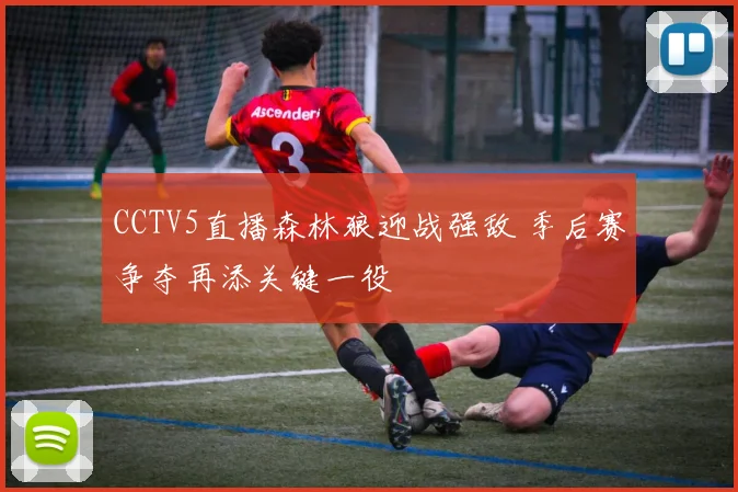 CCTV5直播森林狼迎战强敌 季后赛争夺再添关键一役