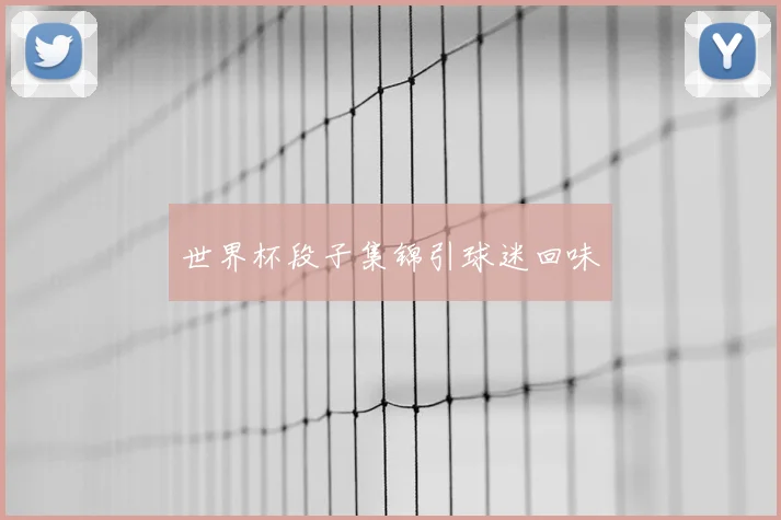 世界杯段子集锦引球迷回味