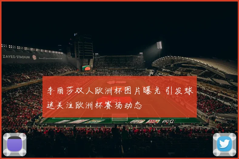 李丽莎双人欧洲杯图片曝光 引发球迷关注欧洲杯赛场动态